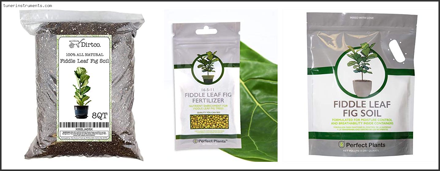 Best Soil For Fiddle Leaf Fig Plant