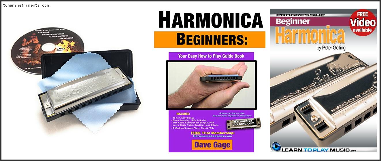 Best Harmonica To Learn For Beginners