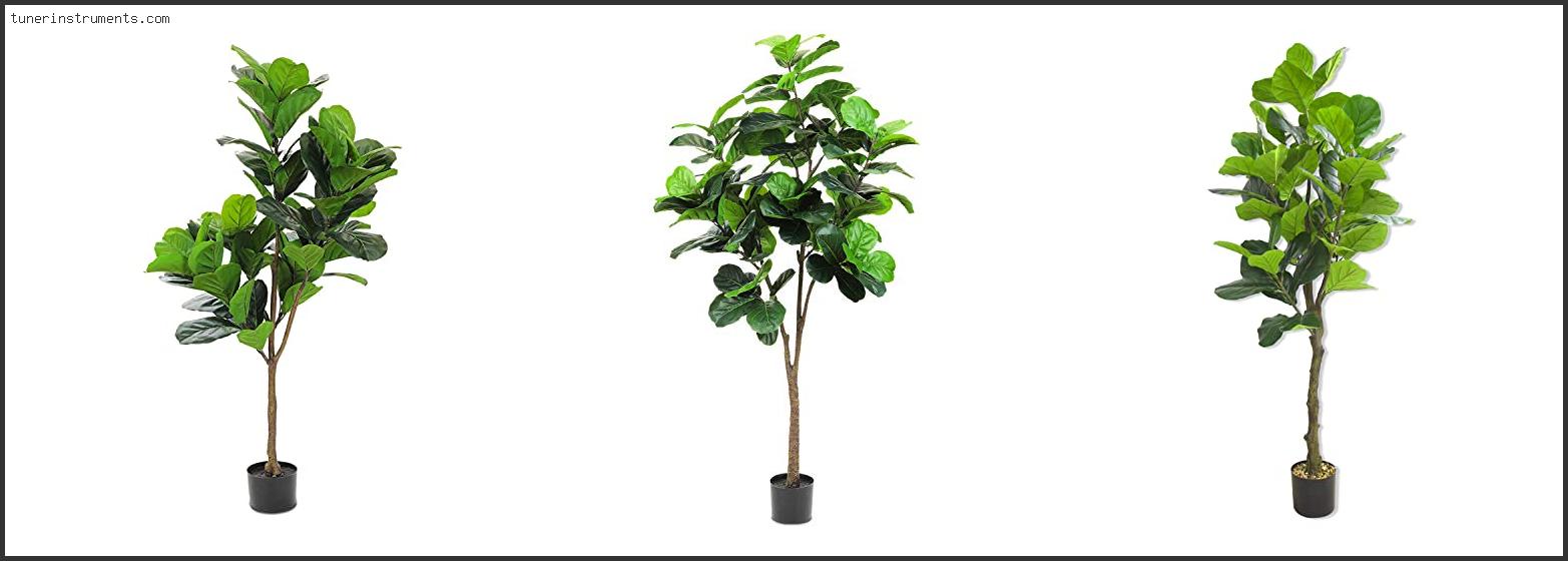 Best Faux Fiddle Leaf Fig Plant