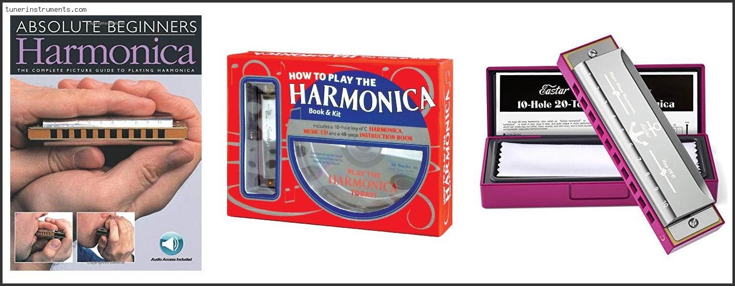 Best Harmonica For Beginners