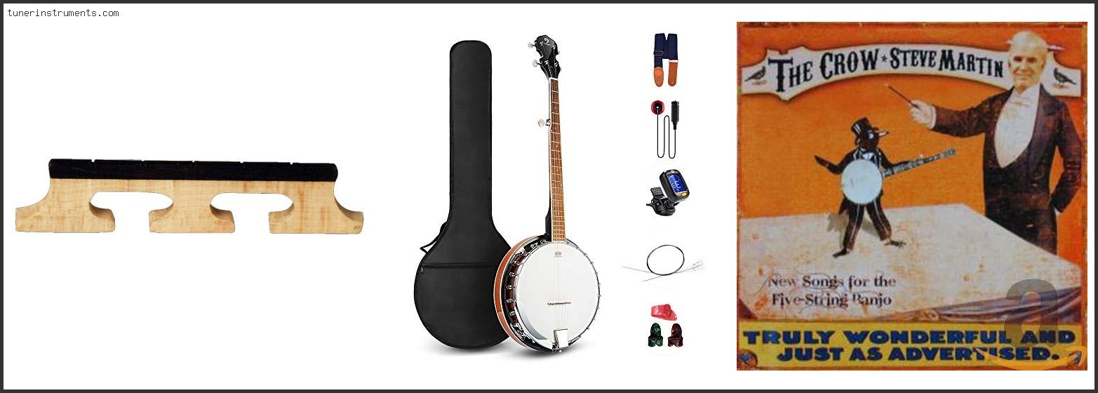 Best 5 String Banjo Under $500