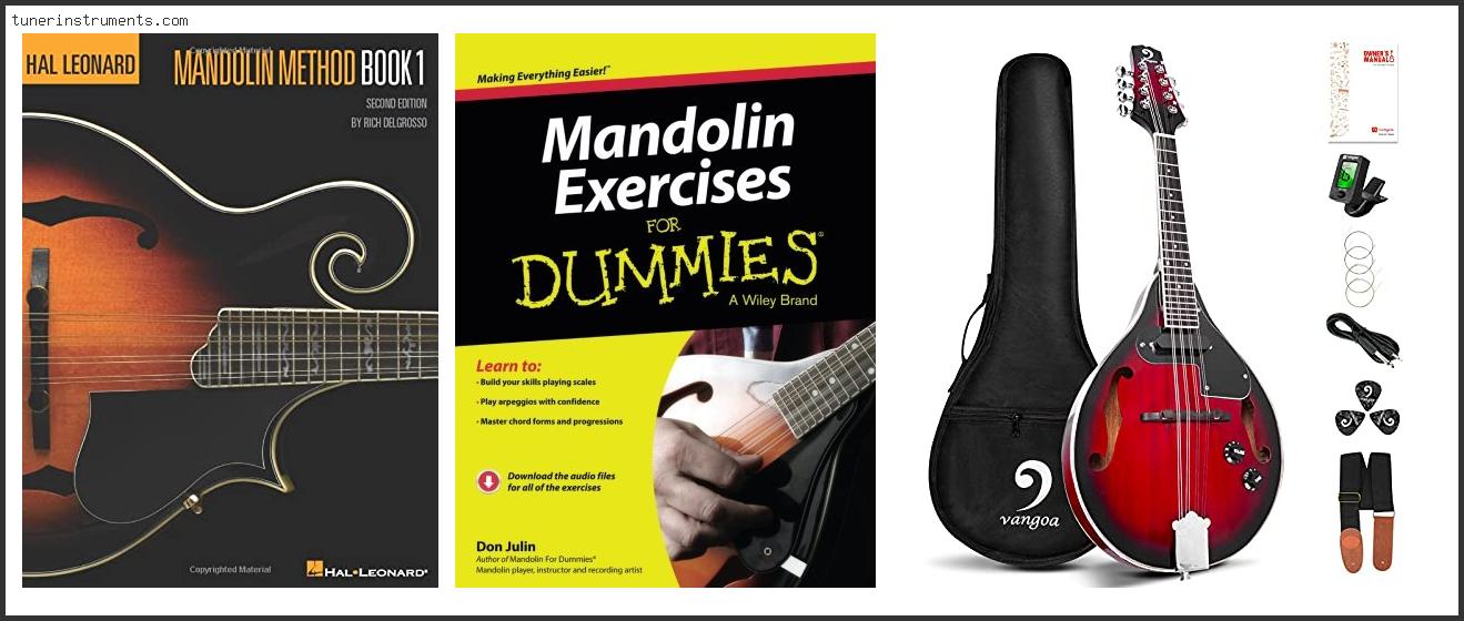 Best Mandolin For Beginners
