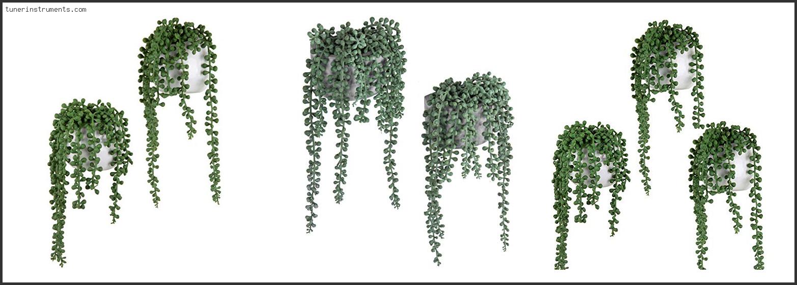 Top 10 Best Planter For String Of Pearls
