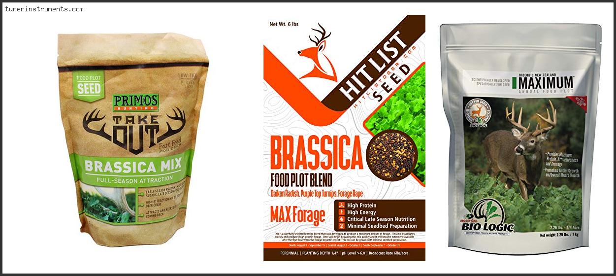 Best Brassica Blend For Deer